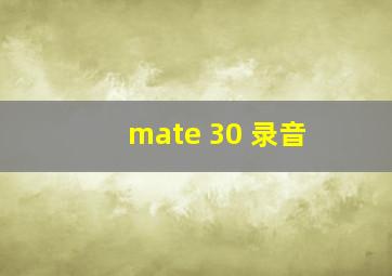 mate 30 录音